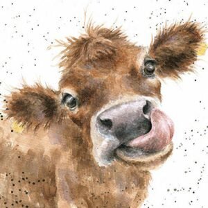 Wrendale designs card- Mooooo Cow