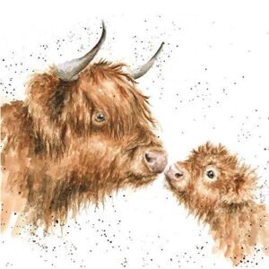 Greeting Card (WRE-CS156) - Blank/Birthday - 'Gentle One' - Highland Cow and Calf