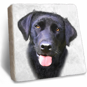Stone Rebellion Black Labrador Coaster